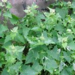 До чого сняться нитки для шиття, в’язання або вишивання