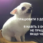 Хто такий апостол Петро й що про нього відомо