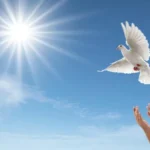 Як NAD+ підтримує організм під час зниження ваги та створює ресурсний стан