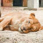 Сумісність знаків Рак і Скорпіон: у стосунках, дружбі та роботі