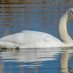 Біографія та особисте життя Інни Приходько