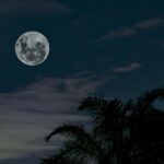 Речення зі словом “ручка” в різних значеннях